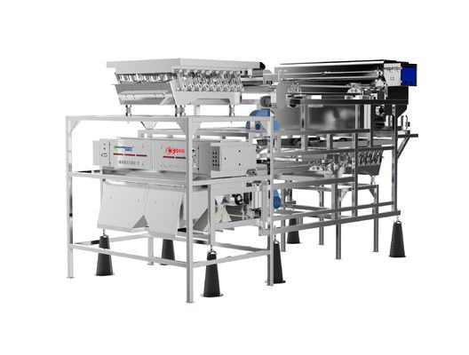 calidad  Customized Fruit Sorting Machine Belt Type 1.0-1.5T/H Blueberry Color Sorter fábrica