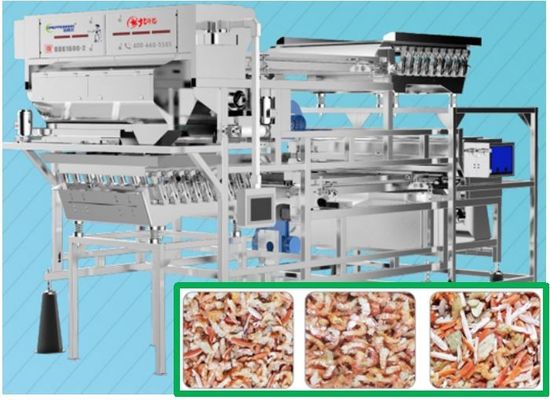 99.9% Accuracy Shrimp Sorting Machine / Seafood Color Sorter Precise Target Positioning