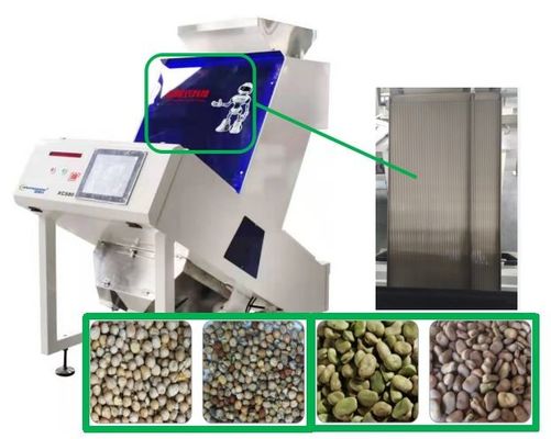 Equipo de proceso del clasificador del color de la Faba de la Vicia de 80 garbanzos de los canales