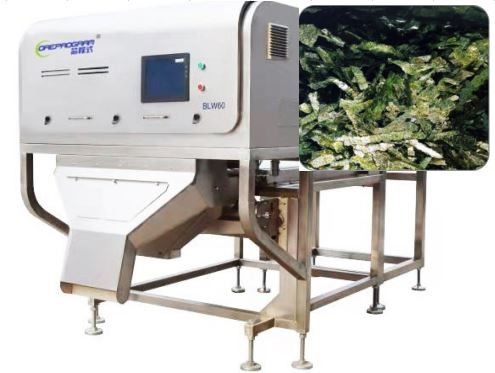 Clasificador del color de Nori Seaweed Vegetable Sorting Machine 1-3T/H Wolfberry